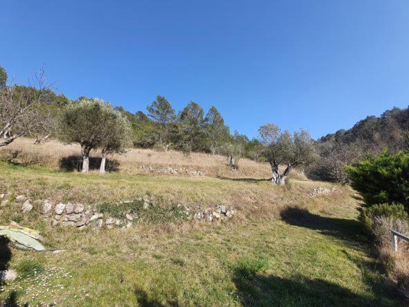 La Ferme De Manon Lägenhet Montferrat  Exteriör bild